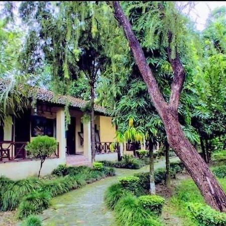 Rhino Lodge Bardia Pvt Ltd Bardiya 外观 照片