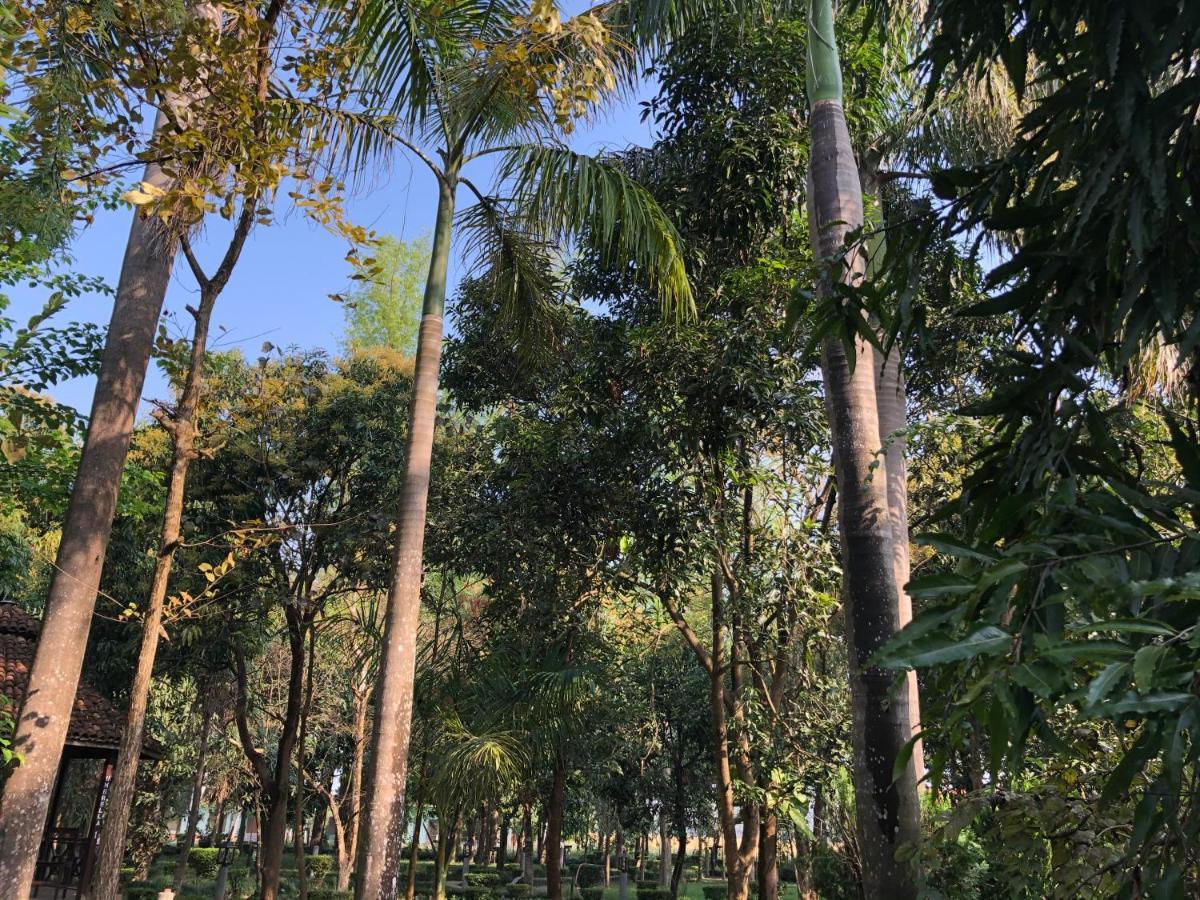 Rhino Lodge Bardia Pvt Ltd Bardiya 外观 照片